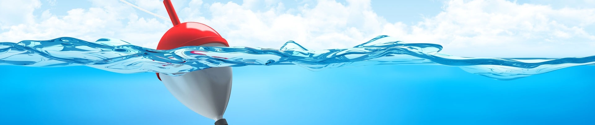 Vishaak met dobber in het water met een blauwe lucht als achtergrond